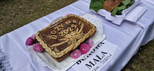 Dożynki Gminy Sawin 2025 [GALERIA ZDJĘĆ]