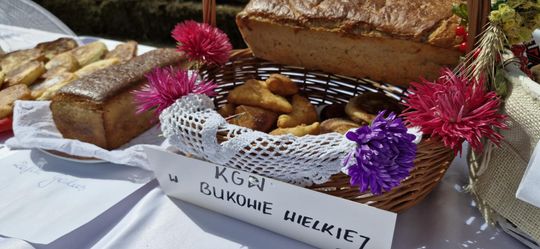 Dożynki Gminy Sawin 2025 [GALERIA ZDJĘĆ]