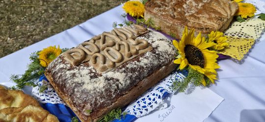 Dożynki Gminy Sawin 2025 [GALERIA ZDJĘĆ]