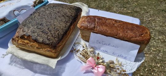 Dożynki Gminy Sawin 2025 [GALERIA ZDJĘĆ]