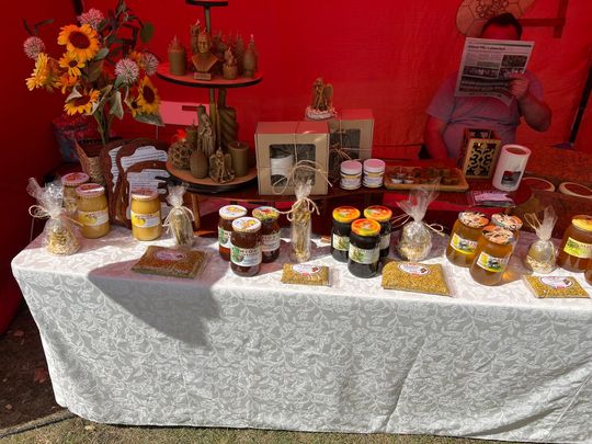 Dożynki Gminy Sawin 2025 [GALERIA ZDJĘĆ]