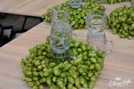 XIV Półmaraton - Krasnystaw 2025 o Puchar Burmistrza Krasnegostawu [GALERIA ZDJĘĆ]