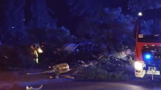 Chełm. Uderzył w latarnię, drzewo i cmentarny mur. Był pijany [ZDJĘCIA]