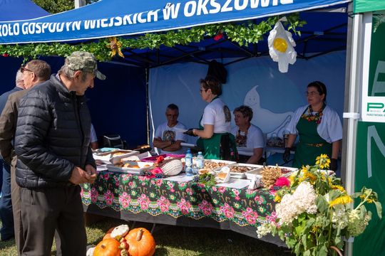 Dożynki gminy Chełm 2025 [GALERIA ZDJĘĆ]