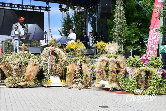 Ogólnopolska Sesja Chmielarska 2025 w Krasnymstawie [GALERIA ZDJĘĆ] 