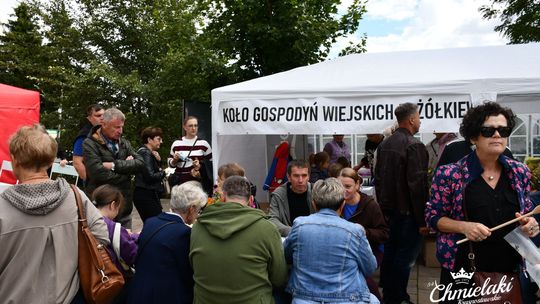 Krasnystaw. „Chmielakowe Arcydzieło” [GALERIA ZDJĘĆ]