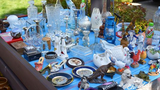 Krasnystaw. „Chmielakowe Arcydzieło” [GALERIA ZDJĘĆ]