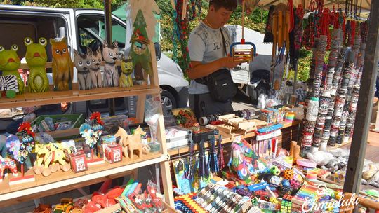 Krasnystaw. „Chmielakowe Arcydzieło” [GALERIA ZDJĘĆ]