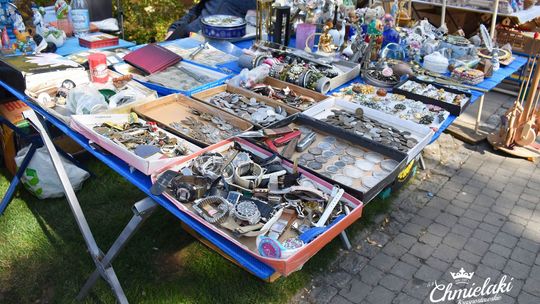 Krasnystaw. „Chmielakowe Arcydzieło” [GALERIA ZDJĘĆ]