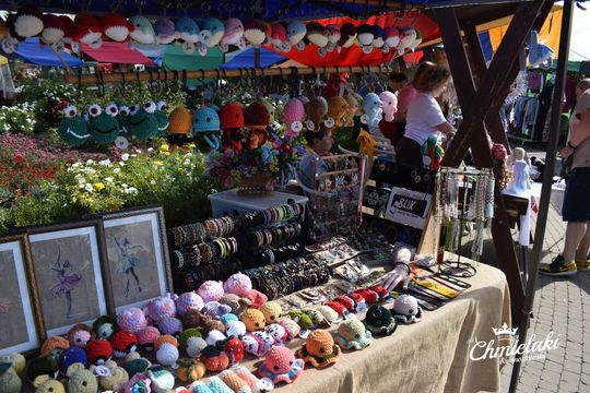 Krasnystaw. „Chmielakowe Arcydzieło” [GALERIA ZDJĘĆ]