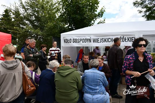 Krasnystaw. „Chmielakowe Arcydzieło” [GALERIA ZDJĘĆ]