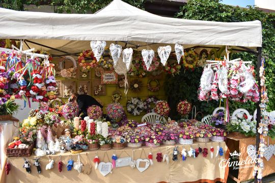 Krasnystaw. „Chmielakowe Arcydzieło” [GALERIA ZDJĘĆ]