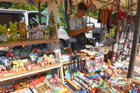 Krasnystaw. „Chmielakowe Arcydzieło” [GALERIA ZDJĘĆ]