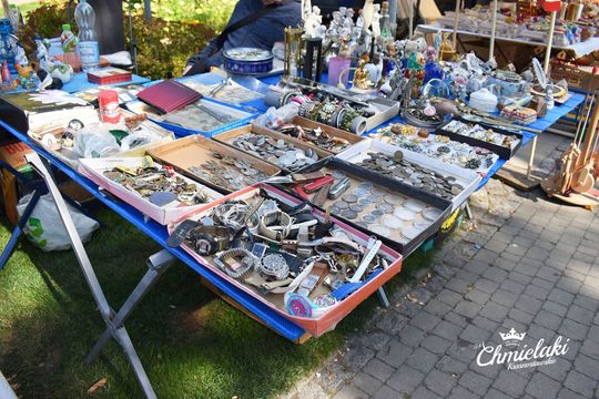 Krasnystaw. „Chmielakowe Arcydzieło” [GALERIA ZDJĘĆ]