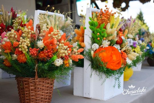 Krasnystaw. „Chmielakowe Arcydzieło” [GALERIA ZDJĘĆ]