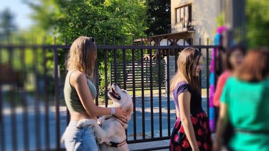 Chełm. To było fantastyczne "Spotkanie z PSYgodą". Na pomoc bezdomnym psiakom [GALERIA ZDJĘĆ]