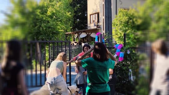 Chełm. To było fantastyczne "Spotkanie z PSYgodą". Na pomoc bezdomnym psiakom [GALERIA ZDJĘĆ]