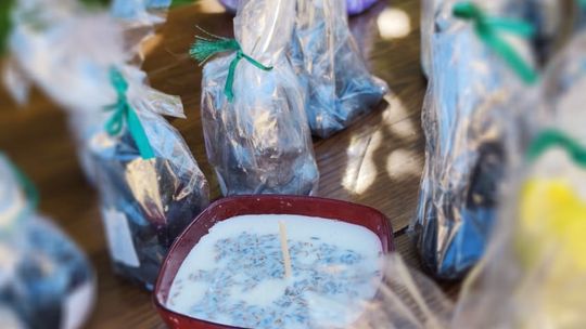 Chełm. To było fantastyczne "Spotkanie z PSYgodą". Na pomoc bezdomnym psiakom [GALERIA ZDJĘĆ]