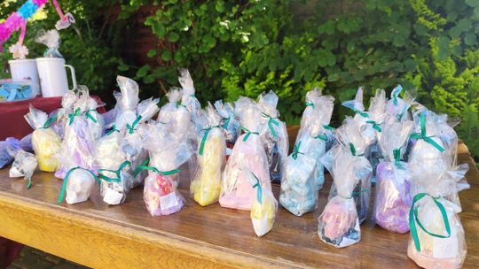 Chełm. To było fantastyczne "Spotkanie z PSYgodą". Na pomoc bezdomnym psiakom [GALERIA ZDJĘĆ]