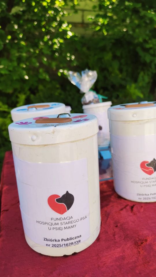 Chełm. To było fantastyczne "Spotkanie z PSYgodą". Na pomoc bezdomnym psiakom [GALERIA ZDJĘĆ]