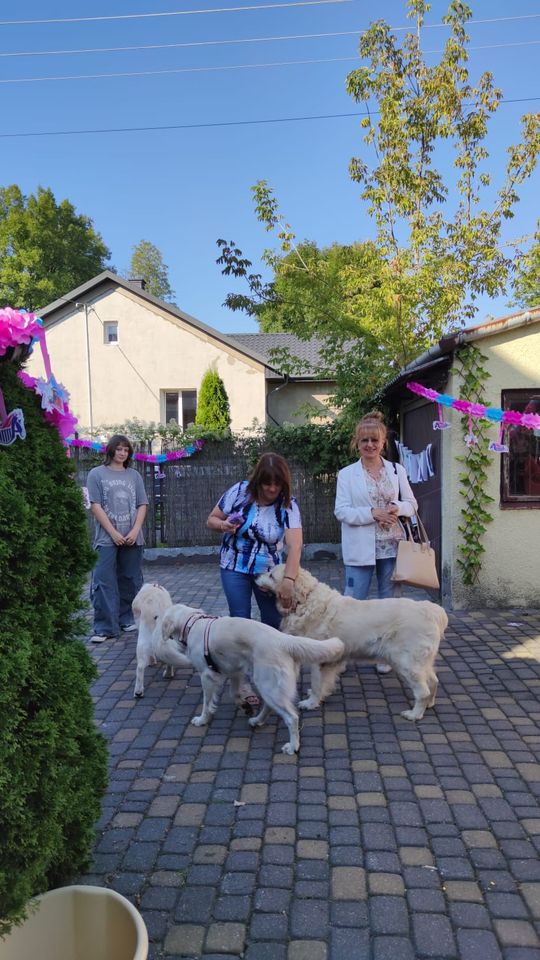 Chełm. To było fantastyczne "Spotkanie z PSYgodą". Na pomoc bezdomnym psiakom [GALERIA ZDJĘĆ]