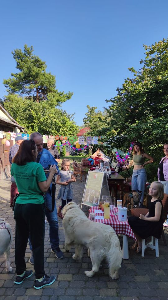 Chełm. To było fantastyczne "Spotkanie z PSYgodą". Na pomoc bezdomnym psiakom [GALERIA ZDJĘĆ]