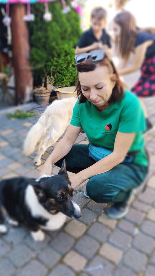 Chełm. To było fantastyczne "Spotkanie z PSYgodą". Na pomoc bezdomnym psiakom [GALERIA ZDJĘĆ]