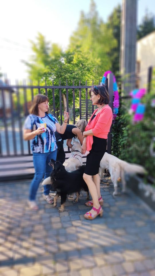 Chełm. To było fantastyczne "Spotkanie z PSYgodą". Na pomoc bezdomnym psiakom [GALERIA ZDJĘĆ]