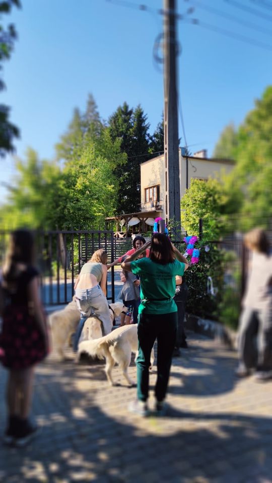 Chełm. To było fantastyczne "Spotkanie z PSYgodą". Na pomoc bezdomnym psiakom [GALERIA ZDJĘĆ]