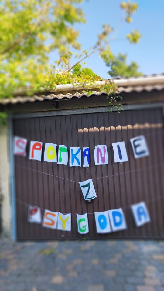 Chełm. To było fantastyczne "Spotkanie z PSYgodą". Na pomoc bezdomnym psiakom [GALERIA ZDJĘĆ]