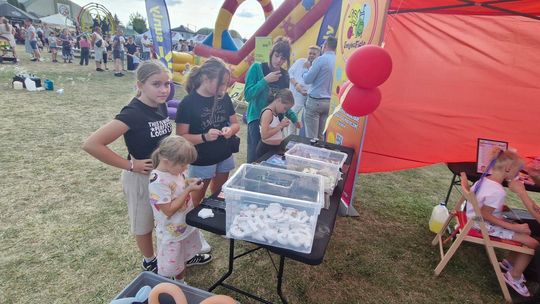 Wyjątkowe dożynki w gminie Wierzbica! [GALERIA ZDJĘĆ]