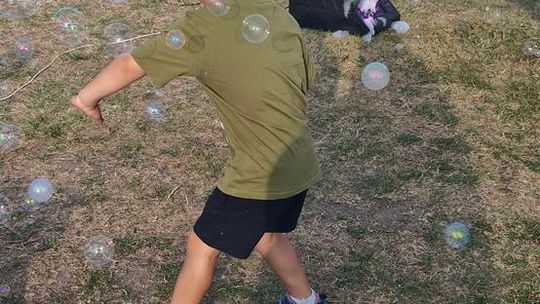 Wyjątkowe dożynki w gminie Wierzbica! [GALERIA ZDJĘĆ]