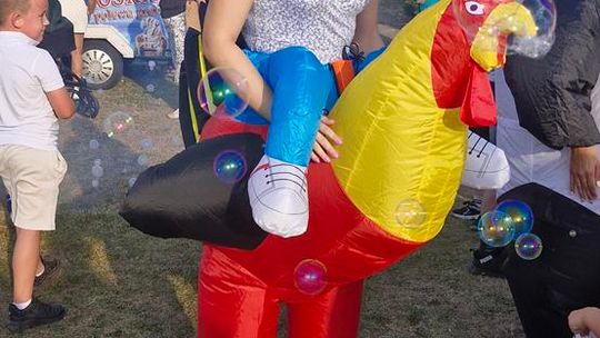 Wyjątkowe dożynki w gminie Wierzbica! [GALERIA ZDJĘĆ]