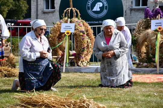 Dożynki Powiatu Krasnostawskiego w Białce 2025