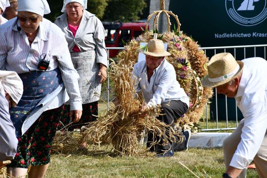 Dożynki Powiatu Krasnostawskiego w Białce 2025