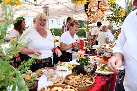 Dożynki Powiatu Krasnostawskiego w Białce 2025