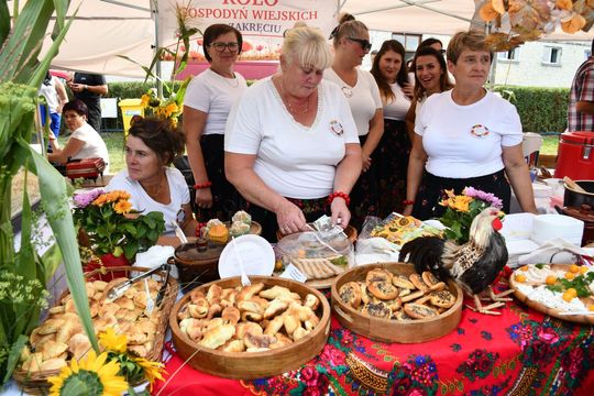 Dożynki Powiatu Krasnostawskiego w Białce 2025 Dożynki Powiatu Krasnostawskiego w Białce 2025