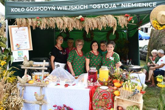 Dożynki Powiatu Krasnostawskiego w Białce 2025