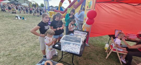 Wyjątkowe dożynki w gminie Wierzbica! [GALERIA ZDJĘĆ]