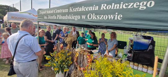 Wyjątkowe dożynki w gminie Wierzbica! [GALERIA ZDJĘĆ]