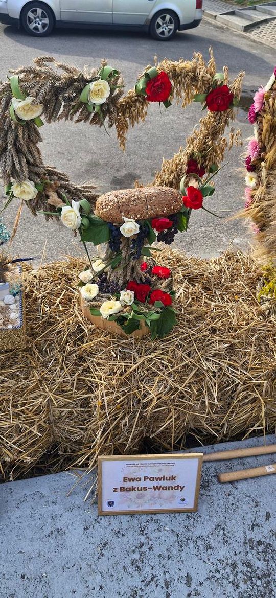 Wyjątkowe dożynki w gminie Wierzbica! [GALERIA ZDJĘĆ]