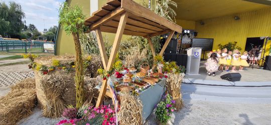 Wyjątkowe dożynki w gminie Wierzbica! [GALERIA ZDJĘĆ]