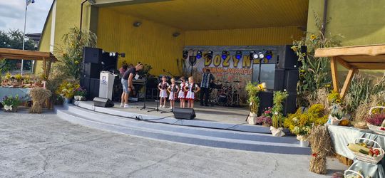 Wyjątkowe dożynki w gminie Wierzbica! [GALERIA ZDJĘĆ]