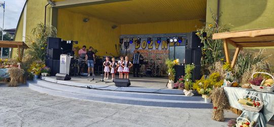 Wyjątkowe dożynki w gminie Wierzbica! [GALERIA ZDJĘĆ]