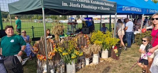 Wyjątkowe dożynki w gminie Wierzbica! [GALERIA ZDJĘĆ]