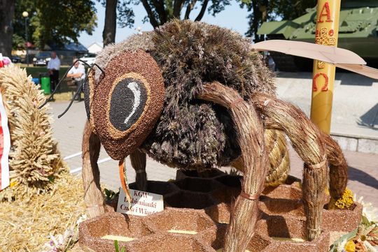 Dożynki gminne w Dubience. Cuda Wianki i cuda wieńce [GALERIA ZDJĘĆ]