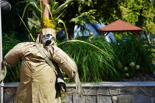 Dożynki gminne w Dubience. Cuda Wianki i cuda wieńce [GALERIA ZDJĘĆ]