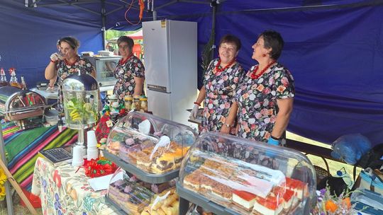 Dożynki w Rejowcu 2025. Dziękowali za plony i bawili się [GALERIA ZDJĘĆ]