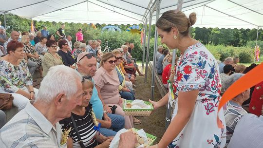 Dożynki w Rejowcu 2025. Dziękowali za plony i bawili się [GALERIA ZDJĘĆ]