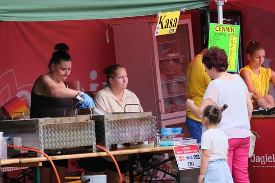 Dożynki w Rejowcu 2025. Dziękowali za plony i bawili się [GALERIA ZDJĘĆ]